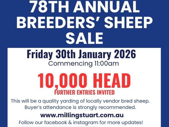 78th Annual Breeders' Sheep Sale